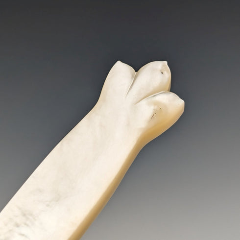 Early 19th Century British Antique White Mother of Pearl Handle Travel Cutlery Pair with Case